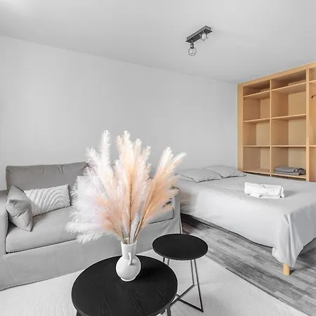 Le Caffarelli Loft - Hypercentre Apartment Toulouse